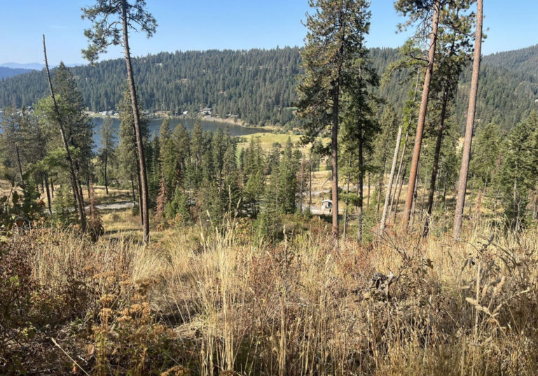 Blue Creek Bay Recreation Site and Trail Visit Coeur d'Alene