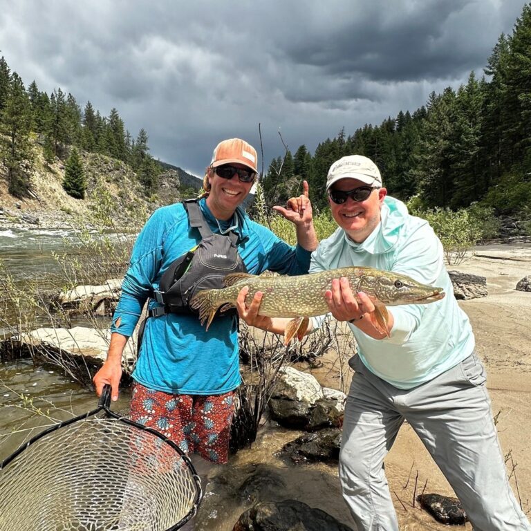 Pike 768x768