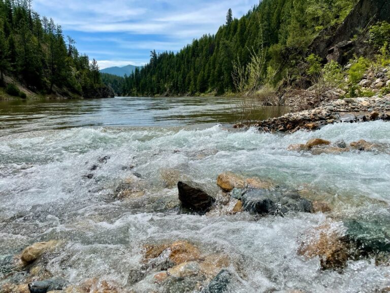 Scenic 3 768x576