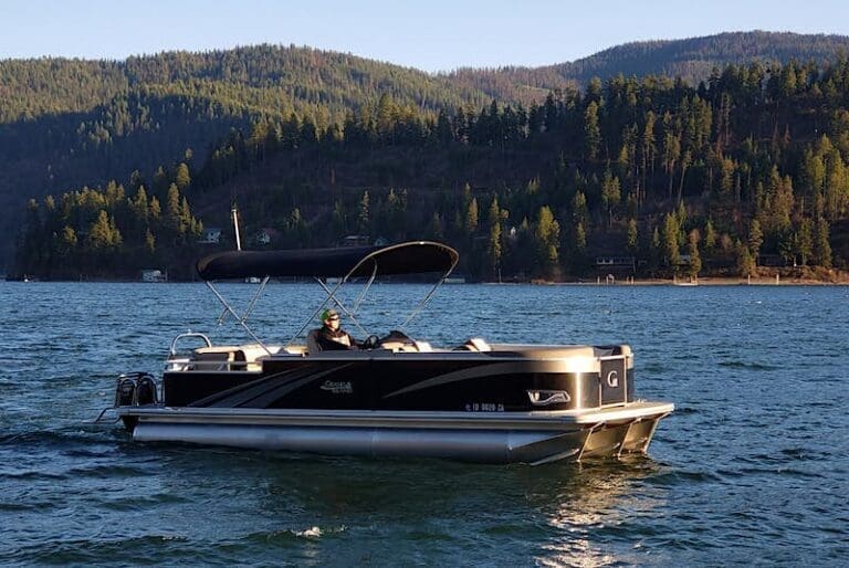 Deluxe Pontoon Rental image 1 768x514