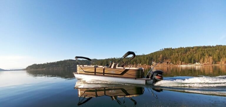 Premium Pontoon Rental image 1 1024x487 1 768x365