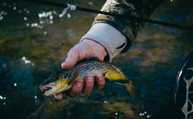 St. Joe and CDA River Fly Fishing RAC1 768x474