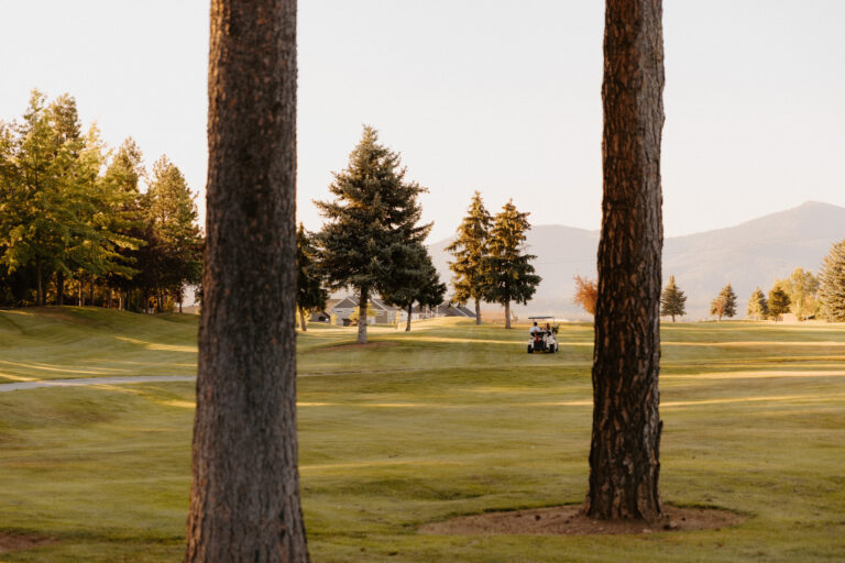 Weddings 04 1 768x512