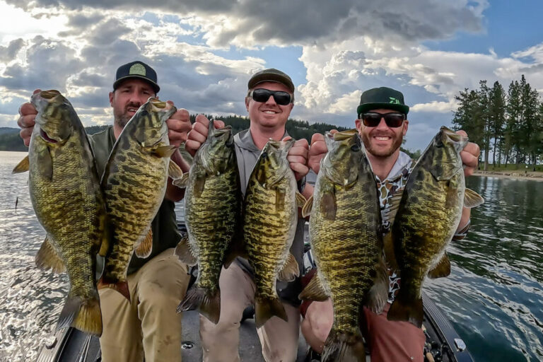 bass 768x512