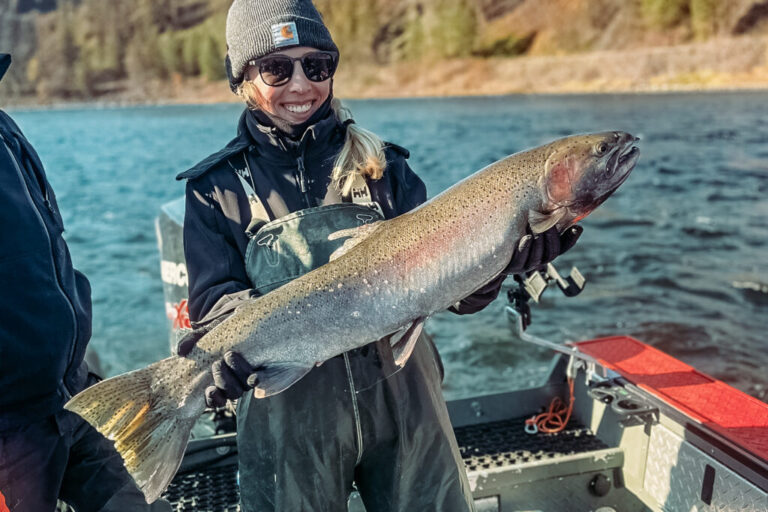 steelhead 768x512